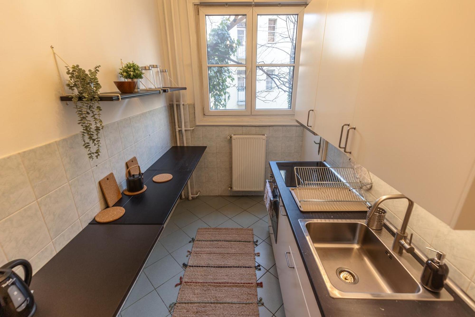 Bright & Spacious Riverside Apartment With Balcony Budapest Ngoại thất bức ảnh